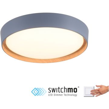 Paul Neuhaus EMILIA 14347-15 Stropna svjetiljka 1x32W/LED 3000k 3400lm ip20
