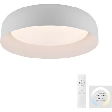 Paul Neuhaus OSKO 14215-16 Stropna svjetiljka 1x30W/LED 2700-5000k 2850lm ip20