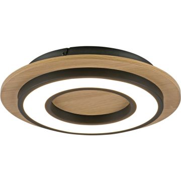 Paul Neuhaus TOLA 14560-18 Stropna svjetiljka 1x18W/LED 3000k 2200lm ip20