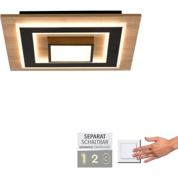 Paul Neuhaus TOLA 14563-18 Stropna svjetiljka 1x30W/LED 3000k 3200lm ip20