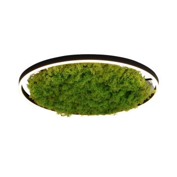 Paul Neuhaus GREEN RITUS 15392-66 Stropna svjetiljka 1x28W/LED 3000k 960lm ip20