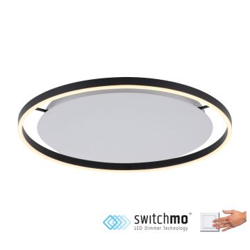 Paul Neuhaus RITUS 15392-13 Plafonjera 1x28W/LED 3000K 1100LM IP20