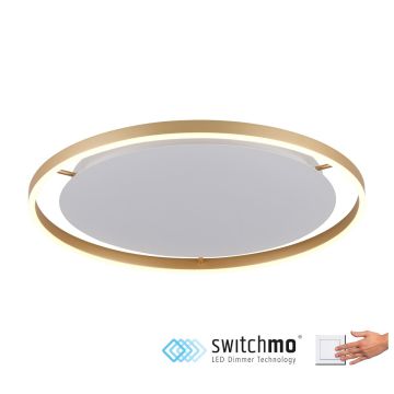 Paul Neuhaus RITUS 15392-60 Plafonjera 1x28W/LED 3000K 1550LM IP20