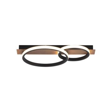 Paul Neuhaus TROOPER 15615-78 Plafonjera 1x28W/LED 3000K 1000LM IP20