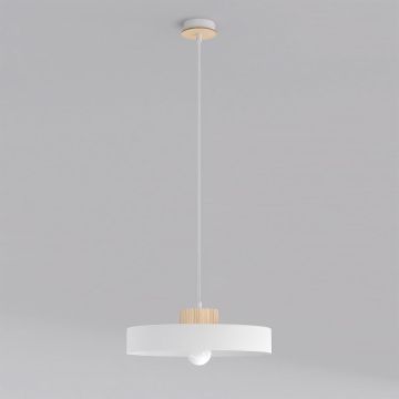 Emibig KIVI 1669/1L Visilica 1x15W/E27 IP20