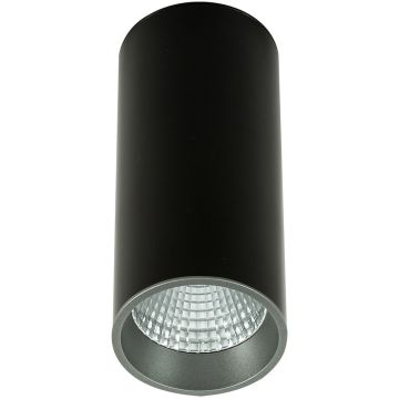 Italux Moldes Big BL/GR Celing 3000K SLC7392/12W 3000K BL+GR Natkriveno downlight svjetlo 1x12W/LED 3000K 820lm IP20