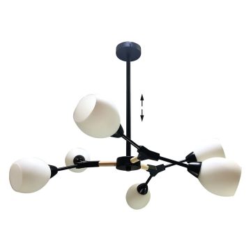 Prezent CITTERIO 18300 Stropna svjetiljka 6x40W/E14 IP20