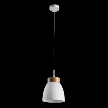 Prezent FOCUS 18068 Visilica 1x40W/E27 IP20
