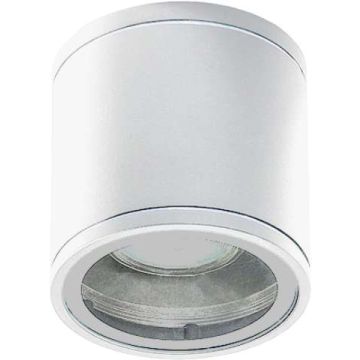 AZzardo JOE AZ3315 Natkriveno downlight svjetlo 1x35W/GU10 IP54
