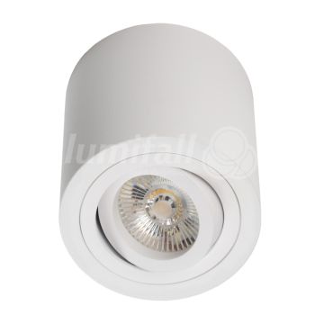 Lumifall CILO LMF.CILOW Natkriveno downlight svjetlo 1x50W/GU10 IP20