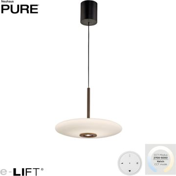 Paul Neuhaus PURE E-Vitrum 2084-34 Visilica 1x26W/LED 2700-5700k 1900lm ip20
