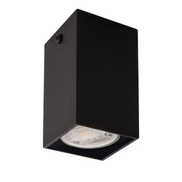 Antigo Doha 1095 Natkriveno downlight svjetlo 1x10W/GU10 IP20