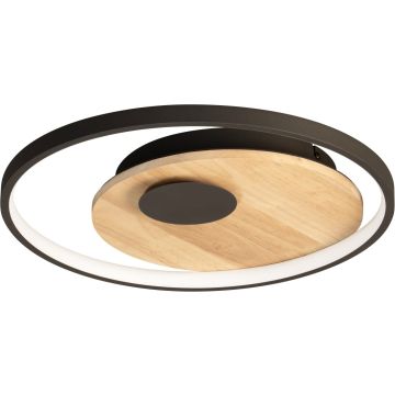 Fischer&Honsel Marit 21534 Stropna svjetiljka 1x24,8w/led 2700k-6500k 3420lm ip20