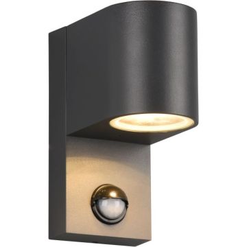 Trio ROYA 214260142 Zidna svjetiljka 1x35w/gu10 ip44