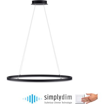 Paul Neuhaus TITUS 2392-13 Visilica 1x38W/LED 3000k 1800lm ip20