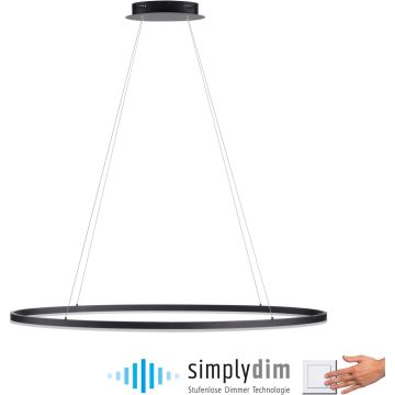 Paul Neuhaus TITUS 2393-13 Visilica 1x57,5W/LED 3000k 2700lm ip20