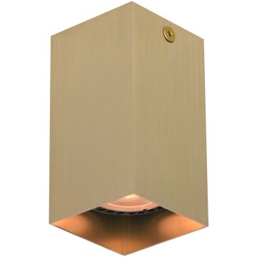 Italux Ander CLN-28394-S-GD Natkriveno downlight svjetlo 1x10W/GU10 IP20