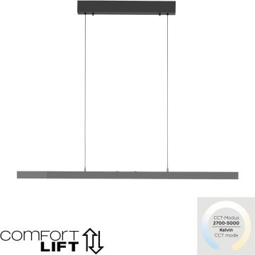Paul Neuhaus ADRIANA COMFORT LIFT 2598-13 Visilica 1x13W/LED 2700-5000k 2085lm ip20