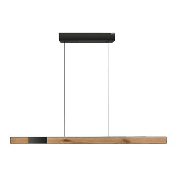 Paul Neuhaus PURE MOTO-RISE 2545-79 Visilica 3x13W/LED 2700K-5000K 1900lm IP20