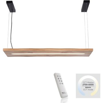 Paul Neuhaus PALMA 2625-79 Visilica 1x27W/LED 2700-5000k 2750lm ip20