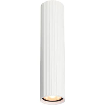 Italux Rilok CLN-83920-L-WH Natkriveno downlight svjetlo 1x10W/GU10 IP20