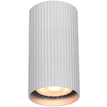 Italux Rilok CLN-83920-S-ALU Natkriveno downlight svjetlo 1x10W/GU10 IP20