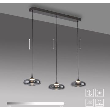 Paul Neuhaus POSH 15693-15 Visilica 3x6,3W/LED 3000k 1000lm ip20