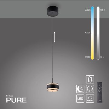Paul Neuhaus PURE FALLING RINGS 2503-18 Visilica 1x8W/LED 2200-5000k 310lm ip20