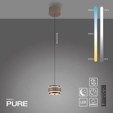 Paul Neuhaus PURE FALLING RINGS 2503-97 Visilica 1x8W/LED 2200-5000k 310lm ip20