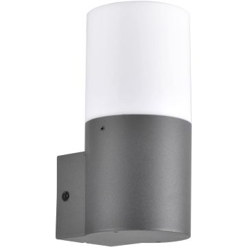 Polux DALLAS 315960 Zidna svjetiljka 1x12W/E27 IP44
