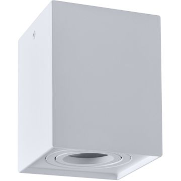 Polux HADAR 313119 Natkriveno downlight svjetlo 1x10W/GU10 IP20