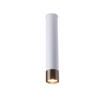 Antigo Eido 8251 Natkriveno downlight svjetlo 1x10W/GU10 IP20