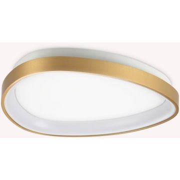 Ideal Lux GEMINI 328034 Stropna svjetiljka 1x24W/LED 3000K ip20