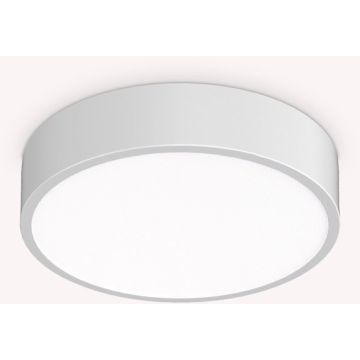 Ideal Lux RAY 327570 Plafonjera 1x13W/LED ip44