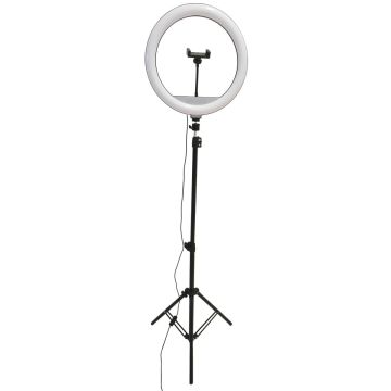 Polux SELFIE 327598 Radna svjetiljka 1x15W/LED 2700K-4000K-6000K 330lm IP20