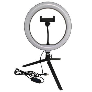 Polux SELFIE 327604 Radna svjetiljka 1x10W/LED 2700K-4000K-6000K 240lm IP20