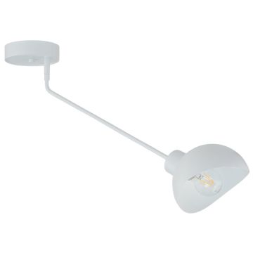 Sigma Lighting Roy 32428 Stropna svjetiljka 1x15W/E27 IP20