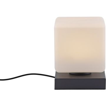 Paul Neuhaus DADOA 4036-13 Stolna svjetiljka 1x7W/LED 3000k 580lm ip20