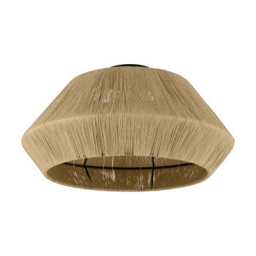 Eglo ALDERNEY 43784 Plafonjera 1x40W/E27 IP20