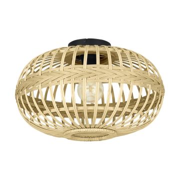 Eglo AMSFIELD 43723 Plafonjera 1x40W/E27 IP20