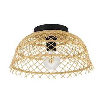 Eglo AUSNBY 43831 Plafonjera 1x40W/E27 IP20