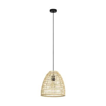 Eglo AYESGARTH 43866 Visilica 1x40W/E27 IP20