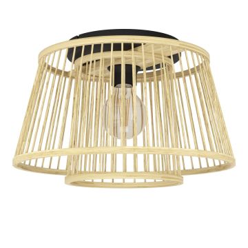 Eglo HYKEHAM 43851 Plafonjera 1x40W/E27 ip20