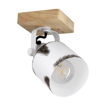 Eglo KILBURN 43921 Reflektor 1x40W/E27 IP20