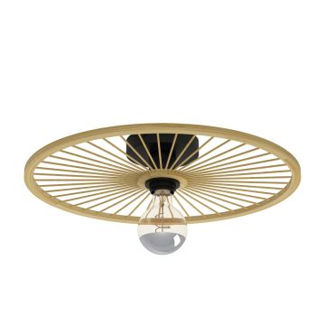 Eglo LEOMINSTER 43883 Stropna svjetiljka 1x40W/E27 IP20
