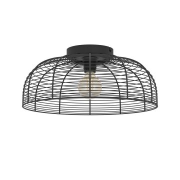 Eglo RINROE 43896 Stropna svjetiljka 1x40W/E27 ip20