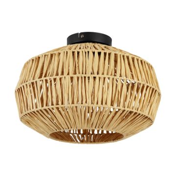 Eglo SHELDON 44142 Stropna svjetiljka 1x40W/E27 ip20