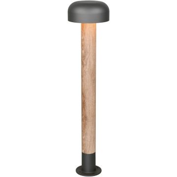 Trio FRASER 462560135 Stojeca svjetiljka 1x10w/e27 ip54
