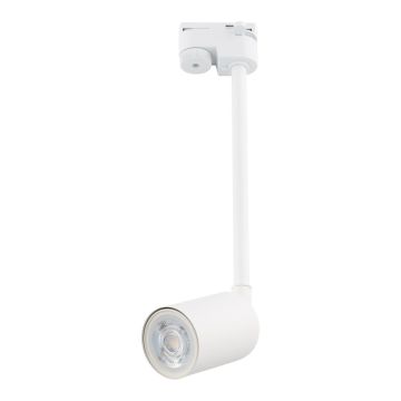 TK Lighting TRACER 4888 Šinski reflektor 1x10W/GU10 IP20