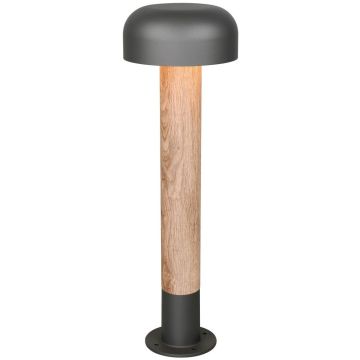 Trio FRASER 562560135 Stojeca svjetiljka 1x10w/e27 ip54